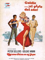 Cartel de Hay una chica en mi sopa