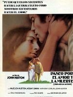 Cartel de Paseo por el amor y la muerte