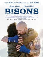 Cartel de Bisons