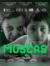 Cartel de Moscas