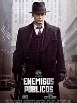 Public Enemies