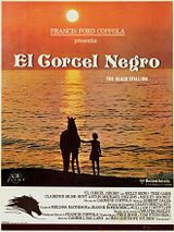 Black Stallion (Original Motion Picture Soundtrack)