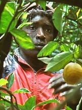 foto de Koudous Seihon