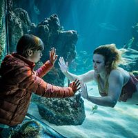 Foto Callum Booth-Ford