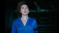 imagen de The Runner Tráiler VO