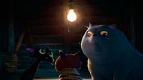 imagen de Gatto Teaser