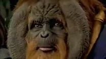 imagen de El planeta de los simios Tráiler VO