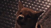 Siempre a tu lado. Hachiko Clip (2) 