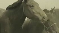 imagen de Los dos caballos de Genghis Khan Tráiler VO