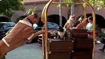 imagen de Un chihuahua en Beverly Hills 3: ¡Viva La Fiesta! Tráiler VO