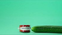 imagen de Cucumber Tráiler VO