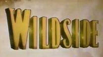 imagen de Wildside - Opening