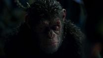 imagen de La guerra del Planeta de los Simios Clip (2) 