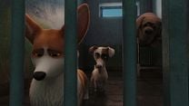 imagen de Corgi, las mascotas de la reina Tráiler 