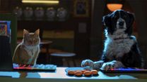 imagen de Cats & Dogs 3: Paws Unite Tráiler VO