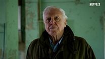 imagen de David Attenborough: Una vida en nuestro planeta Tráiler VOSE