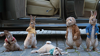 imagen de Peter Rabbit 2: A la fuga Tráiler 
