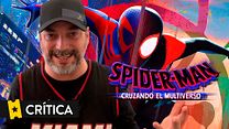 imagen de Spider-Man: Cruzando el Multiverso Crítica