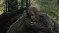 imagen de Sasquatch Sunset Tráiler VO