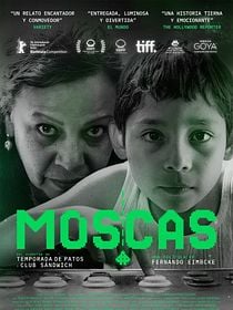 Moscas