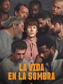 Cartel de La vida en la sombra