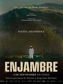 Enjambre