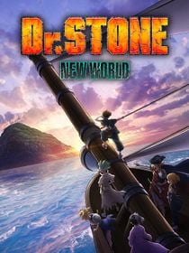 Dr. Stone