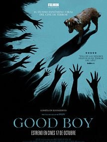 imagen de Good Boy Crítica
