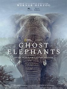 imagen de Los elefantes fantasma de Angola Tráiler VO