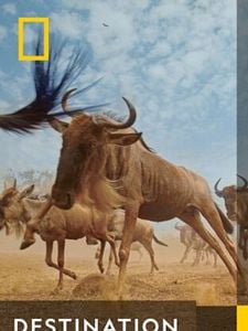 Cartel de Destination Wild Temporada 1