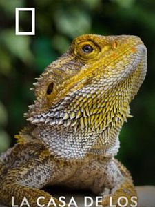 Cartel de La casa de los reptiles Temporada 1