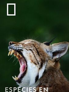 Cartel de Especies En Peligro Temporada 1