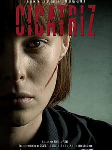 Cartel de Cicatriz Temporada 1