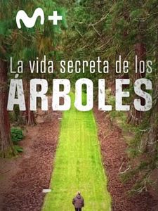 Cartel de La vida secreta de los árboles Temporada 1