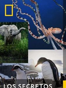 Cartel de Los secretos de... Temporada 1