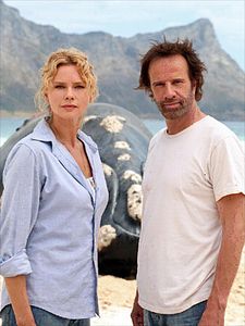 Cartel de Das Geheimnis der Wale Temporada 1