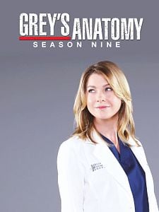 Cartel de Anatomía de Grey Temporada 9