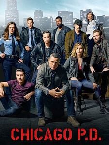 Cartel de Chicago PD Temporada 3