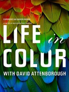 Cartel de La vida a todo color, con David Attenborough Temporada 1