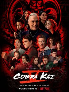 Cartel de Cobra Kai Temporada 4