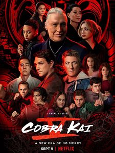 Cartel de Cobra Kai Temporada 5