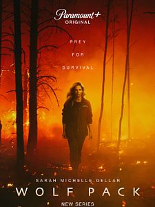 Cartel de Wolf Pack Temporada 1