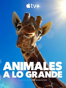 Cartel de Animales a lo grande Temporada 1
