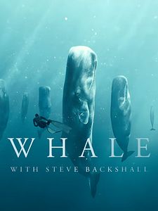 Cartel de Ballenas con Steve Backshall Temporada 1