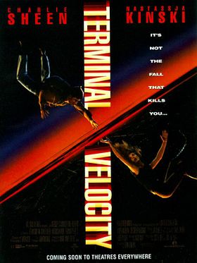 Cartel de Velocidad terminal