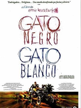 Cartel de Gato negro, gato blanco