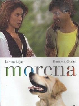 Cartel de Morena