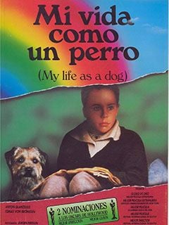 Cartel de Mi vida como un perro