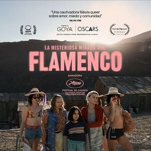 Foto La Misteriosa Mirada Del Flamenco