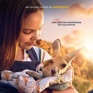 Foto Kangaroo: Una aventura en Australia